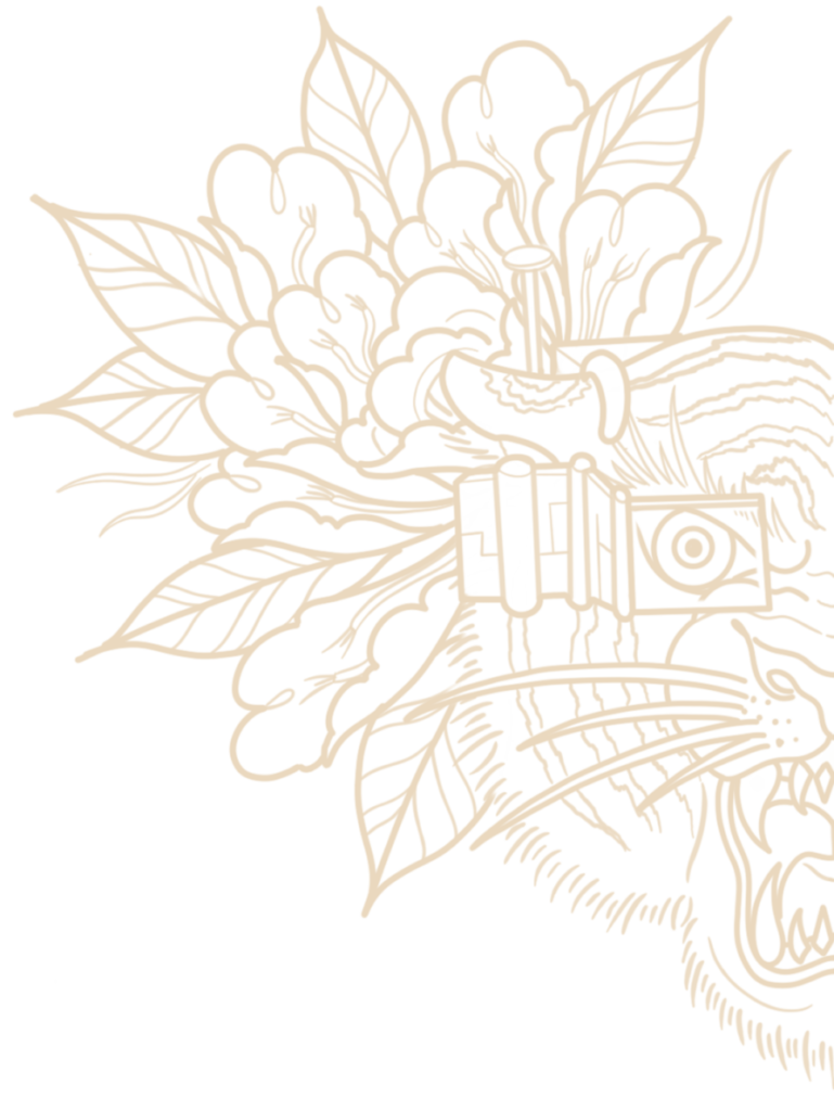 Tiger L (light)